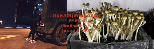 мдма Киреевск